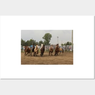 Horses at a trot Posters and Art